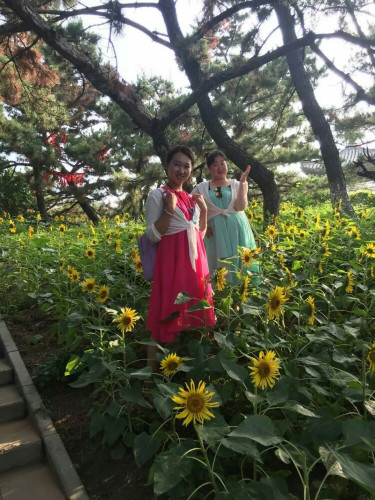 鸽子窝公园看日出免费,鸽子窝公园看日出时间2020