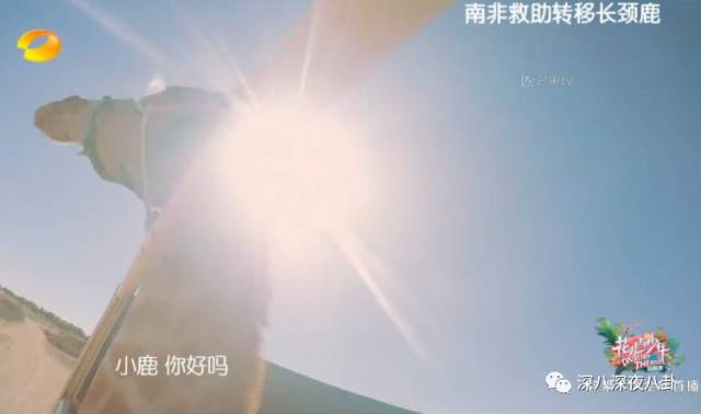 陈柏霖的演技总是让人回味无穷,陈柏霖帅男