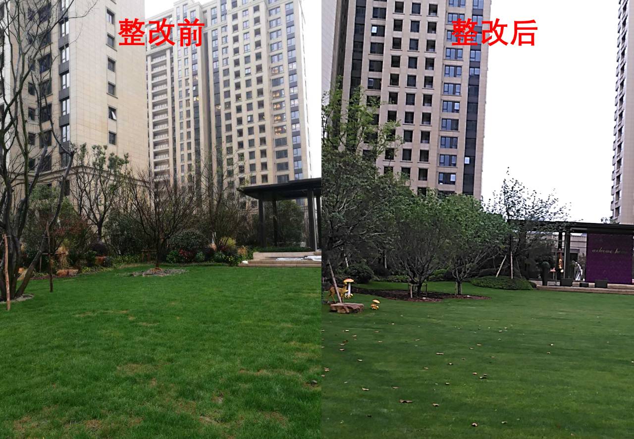 央企房子靠谱吗,央企的房子靠谱吗