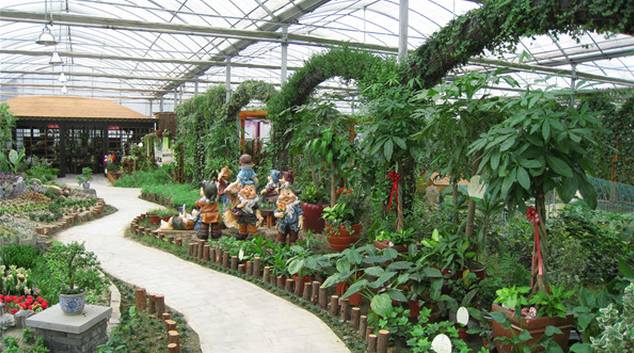 端午去哪里玩苏州,苏州端午山塘街