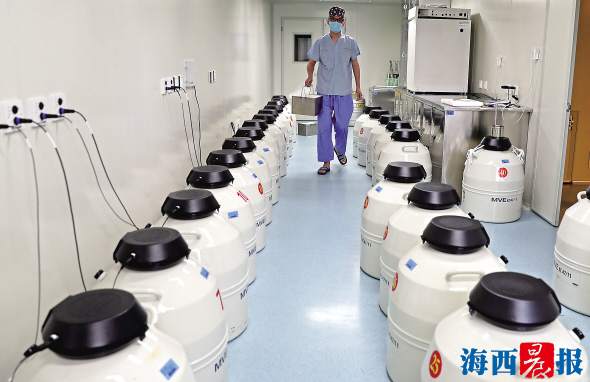 196℃，近4万胚胎等待“重生”