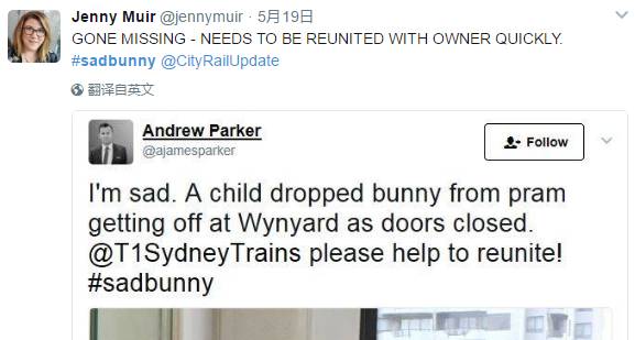 上万悉尼网友各显神通，只为找到这只玩偶兔的主人……
