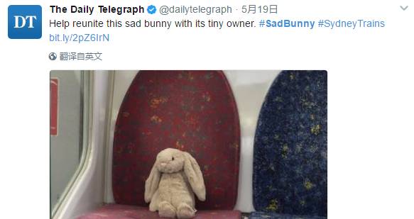 上万悉尼网友各显神通，只为找到这只玩偶兔的主人……