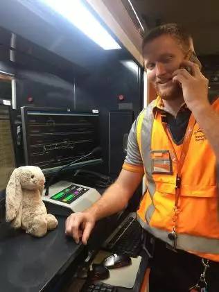 上万悉尼网友各显神通，只为找到这只玩偶兔的主人……