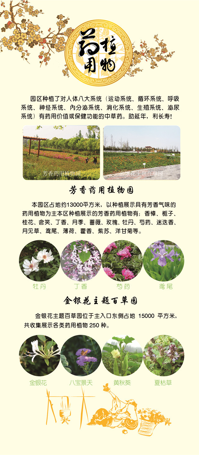 端午去哪里玩苏州,苏州端午山塘街