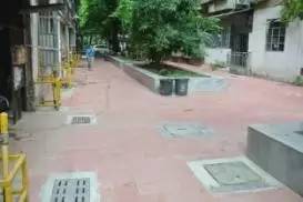 靓！晓港东换新颜啦，它已不再是你记忆中的旧模样！