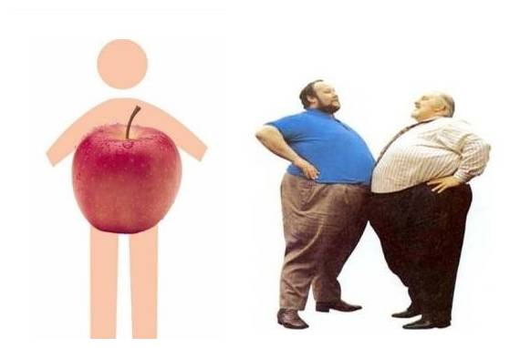 健身小体型和大体型区别,新手健身如何在两个月内改变体型