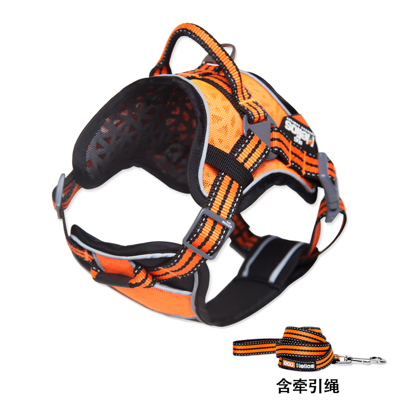 狗狗胸背P链项圈学问大了！快来看看你选的对不对