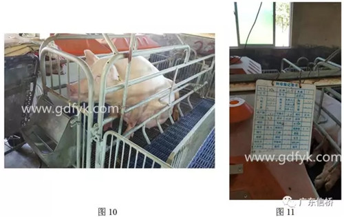 中暑造成死亡原因,中暑的表现和怀孕初期症状