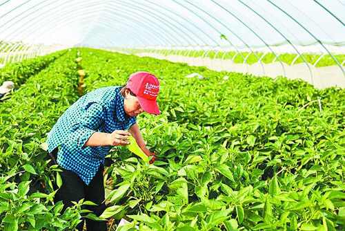 闫集工业,工业园闫集