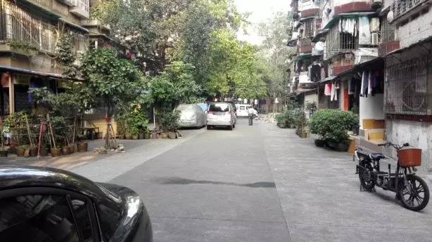 靓！晓港东换新颜啦，它已不再是你记忆中的旧模样！