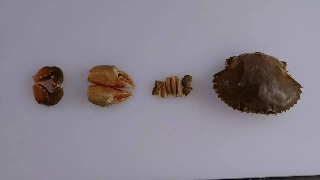 生蚝！生蚝！不可描述的功能让国人着迷，今天老广教你“蚝门九式”，从普通吃货晋级资深老饕