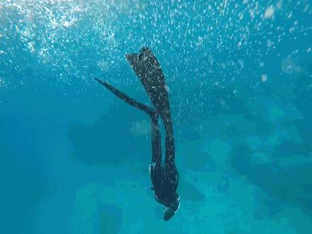 温雅｜去世界的另一端看看！涛岛游