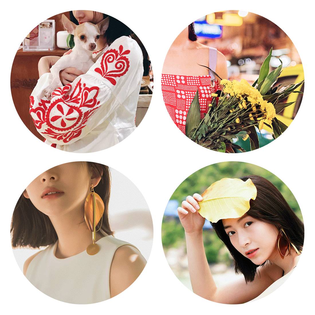 温雅｜去世界的另一端看看！涛岛游