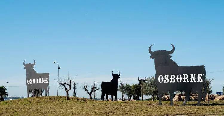 这只旷野露JJ黑牛是如何逆袭成西班牙文化符号的?认识板鸭圣斗牛