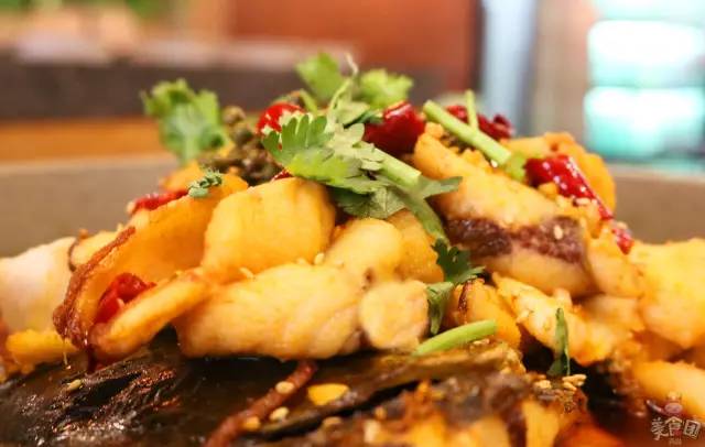 史无前例!秒杀吃鱼!这锅鱼的味道,猫和你都想知道!