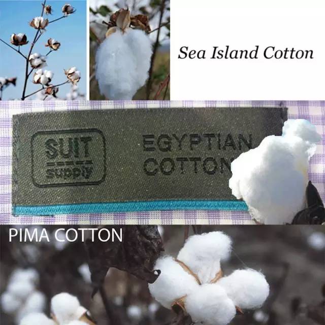 衬衫选对了，上班被老板夸，下班被女友赞