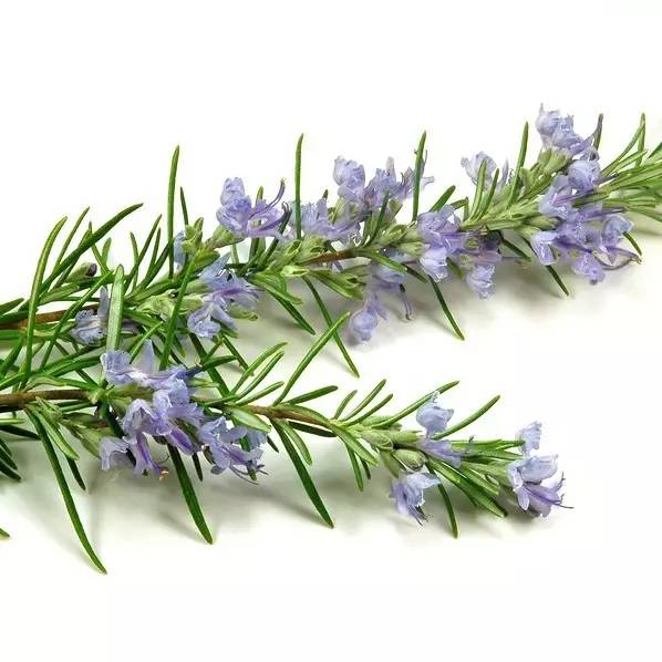 别的变美都要靠整，唯独华发三千，你值得拥有