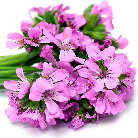 别的变美都要靠整,唯独华发三千,你值得拥有