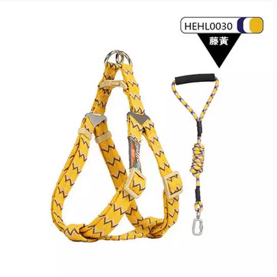 狗狗胸背P链项圈学问大了！快来看看你选的对不对