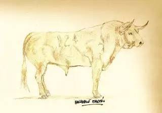 这只旷野露JJ黑牛是如何逆袭成西班牙文化符号的?认识板鸭圣斗牛