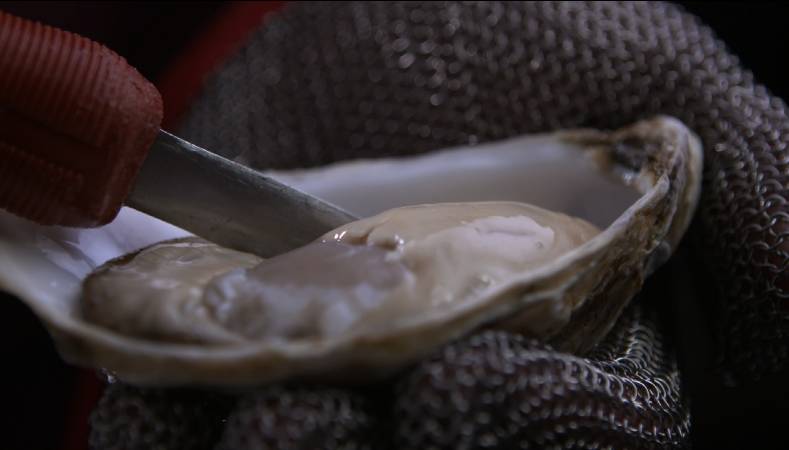 生蚝！生蚝！不可描述的功能让国人着迷，今天老广教你“蚝门九式”，从普通吃货晋级资深老饕