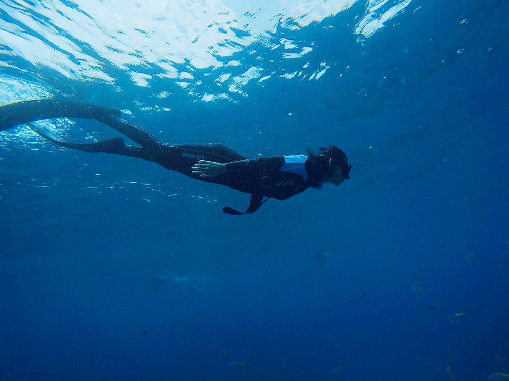 温雅｜去世界的另一端看看！涛岛游