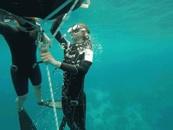 温雅｜去世界的另一端看看！涛岛游