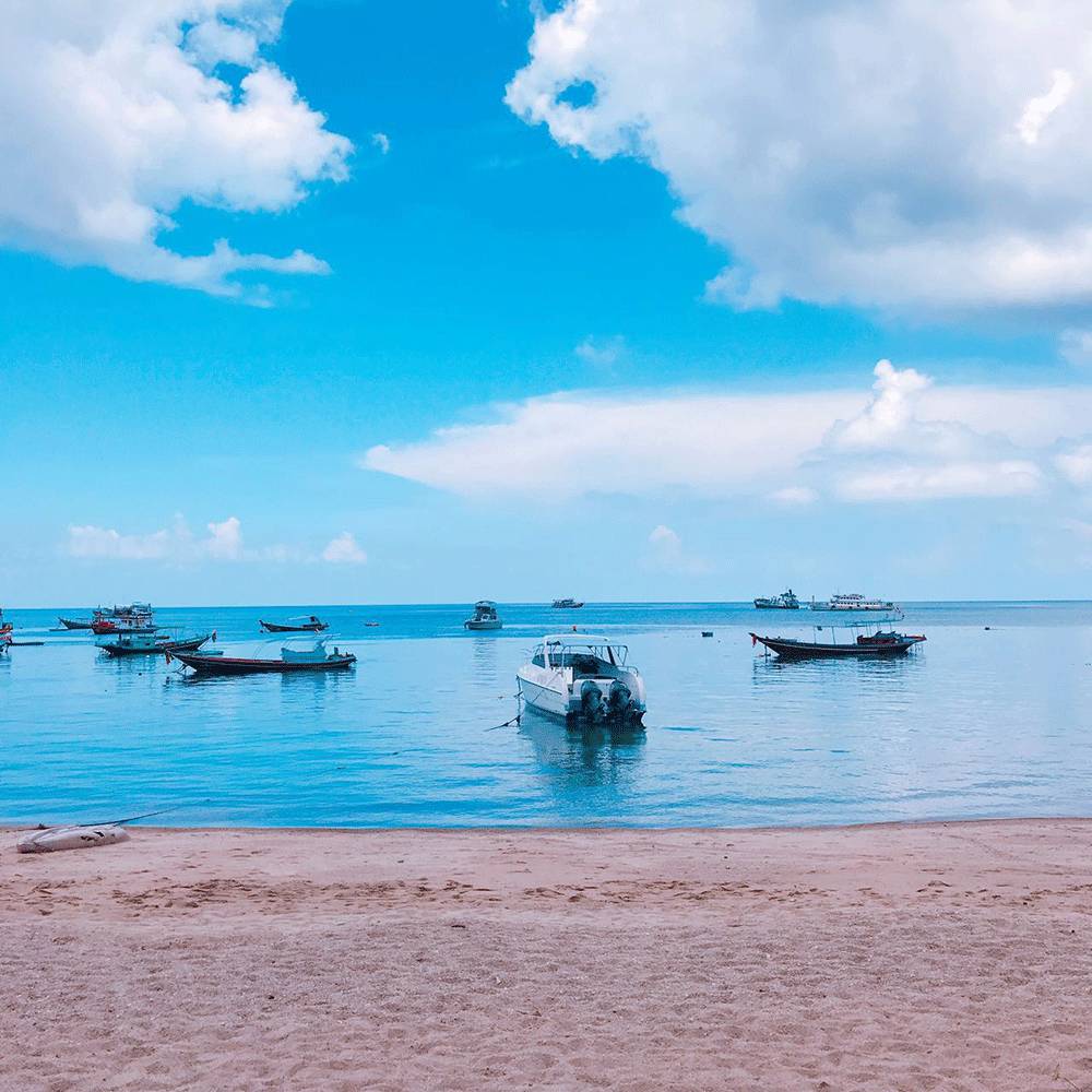 温雅｜去世界的另一端看看！涛岛游