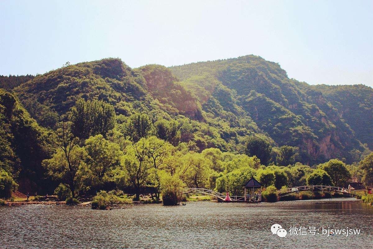 午休也能看病,专家到“家门口”,这个区的居民可享受到这些便利!