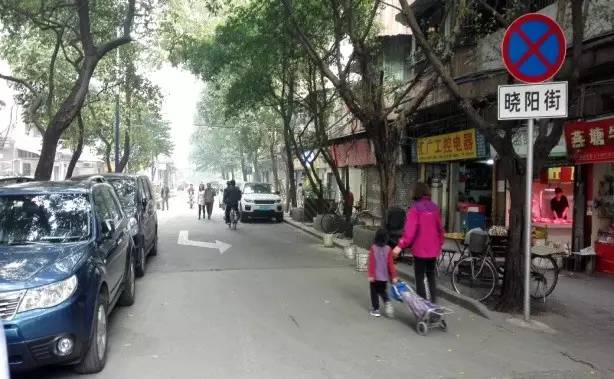 靓！晓港东换新颜啦，它已不再是你记忆中的旧模样！