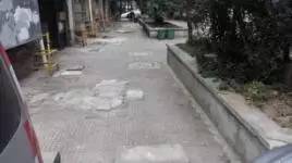 靓！晓港东换新颜啦，它已不再是你记忆中的旧模样！