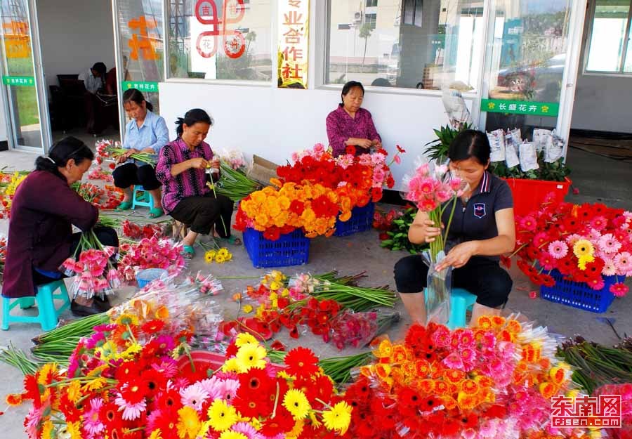 大山深处绽放美育之花新华社,大山深处自然生长而美丽的花