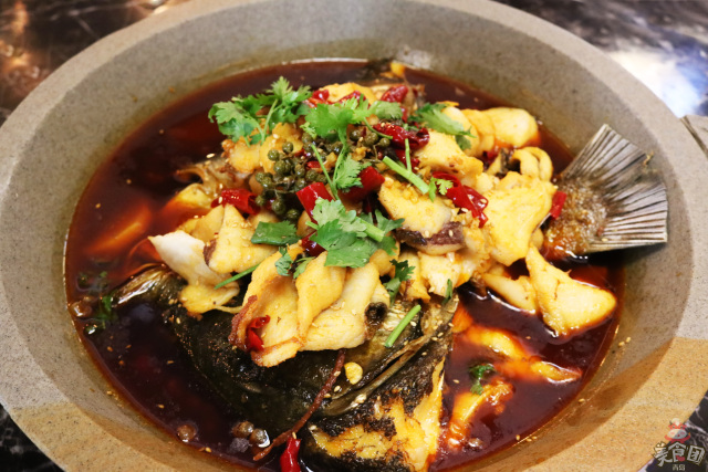 史无前例!秒杀吃鱼!这锅鱼的味道,猫和你都想知道!