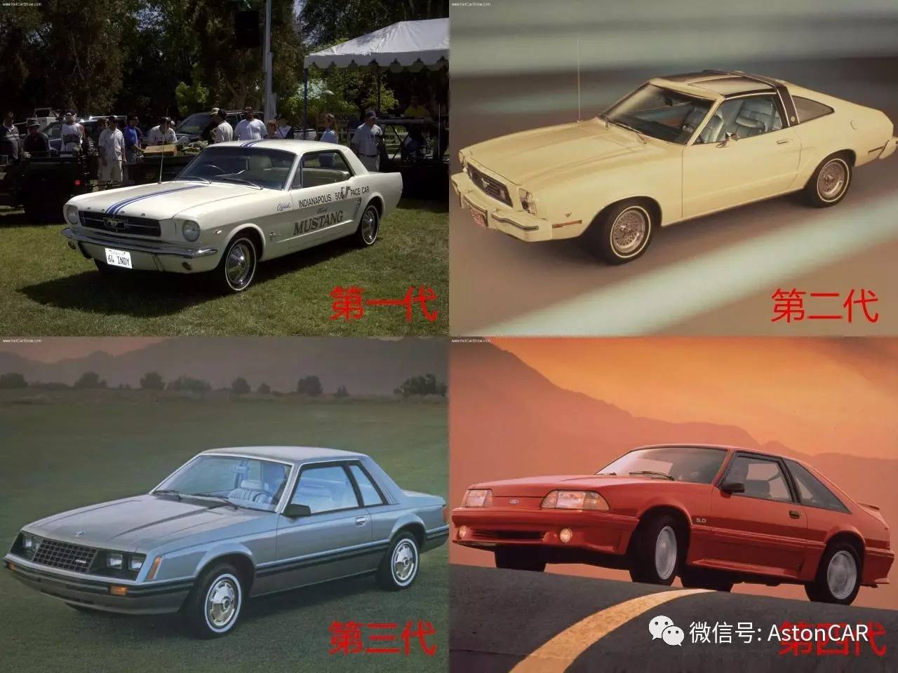 一匹狂奔的野马,一匹狂奔天涯的野马