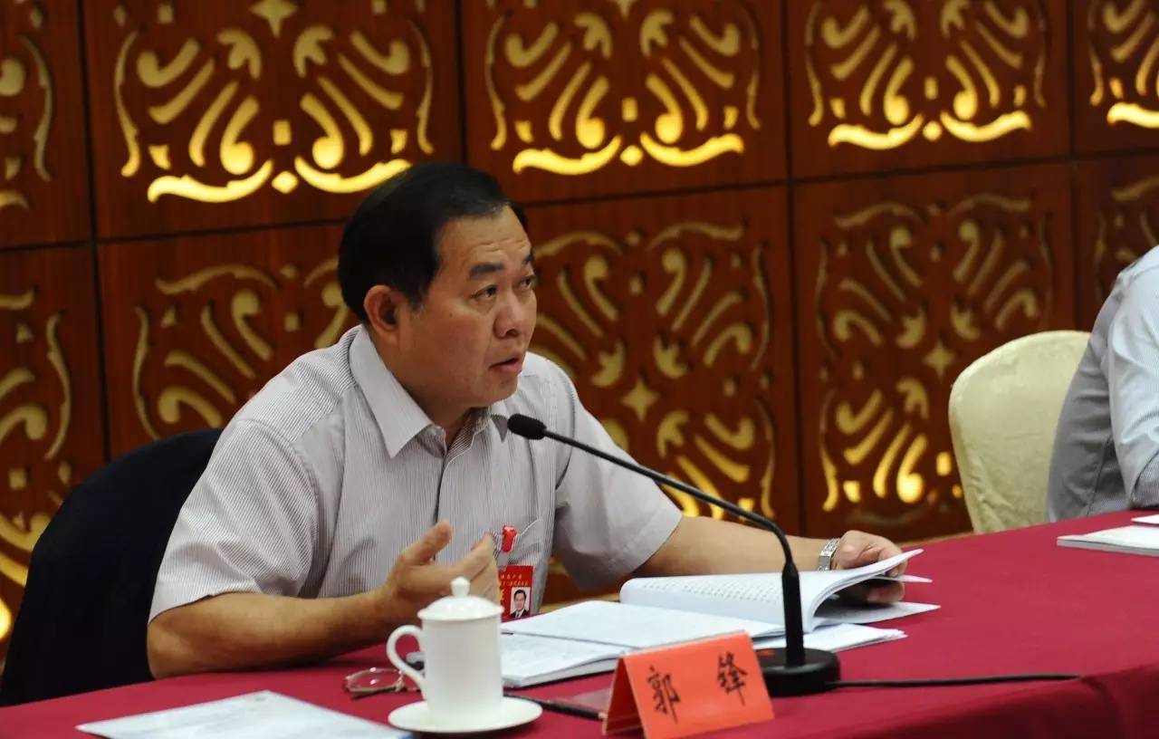 省*党**代会｜“请吃送礼难了，事情却好办了”，清远代表团热议省纪委工作报告