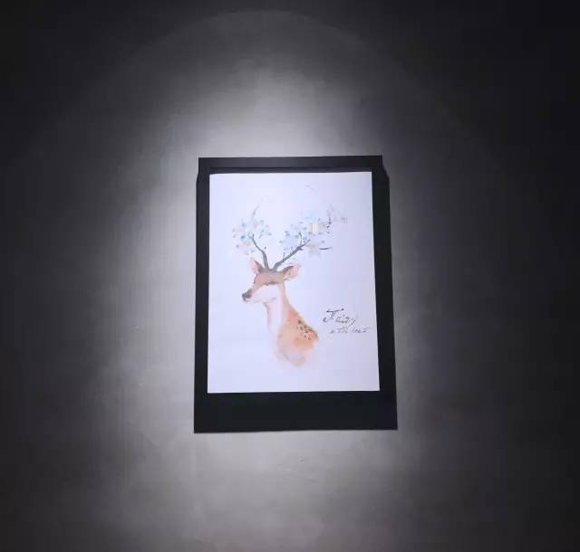 史无前例!秒杀吃鱼!这锅鱼的味道,猫和你都想知道!