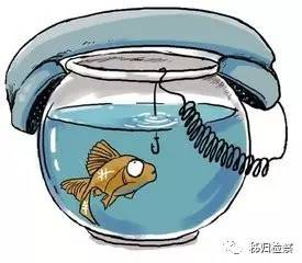 滚蛋吧2019,滚蛋吧2013