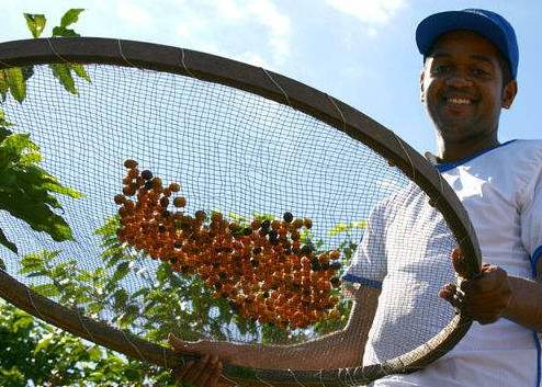 世界各地咖啡科普,科普咖啡知识