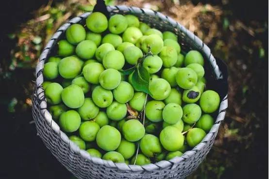 「健康」夏日凉果之王:一颗胜万药,排毒安神抗衰老!