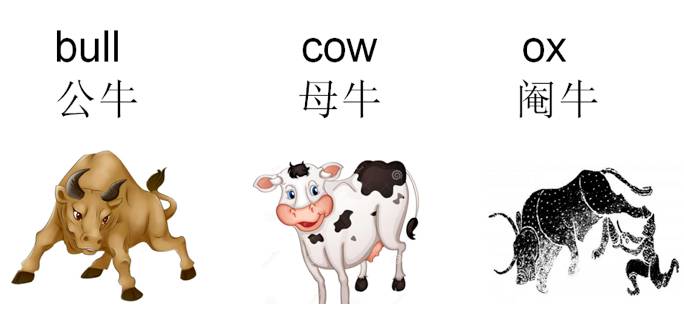 加勒比海盗5看什么版本,加勒比海盗5原声版