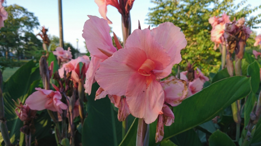 索尼xperia1ii跟1iii的区别,小内存nas