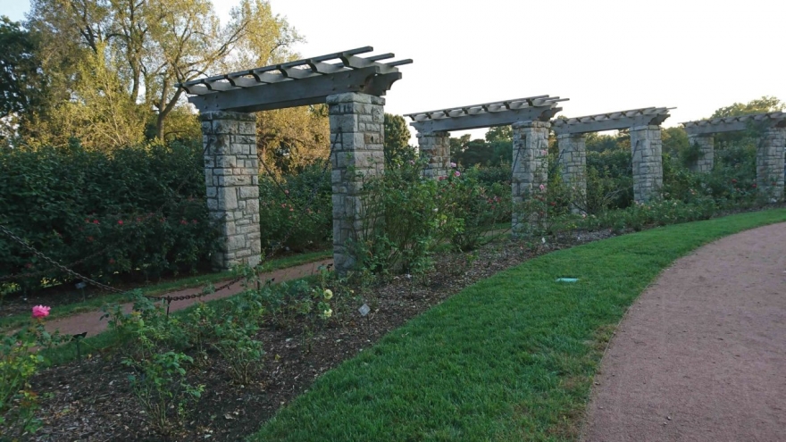 索尼xperia1ii跟1iii的区别,小内存nas