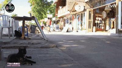 这个韩国男人的综艺养活了半个湖南台，可我们从没抄来他的精髓