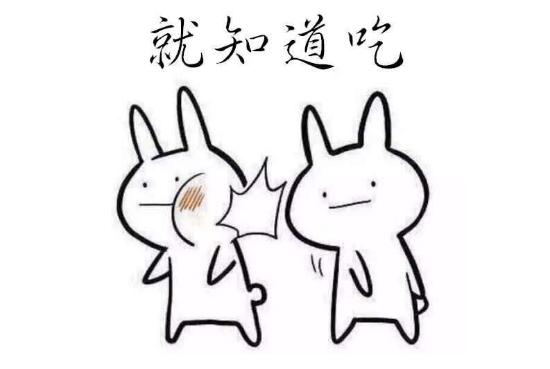 南北粽子对战视频,南北甜粽子大战