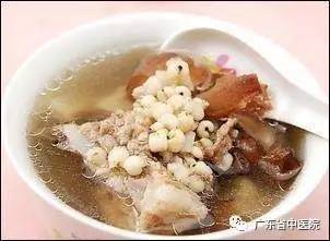 「每日一膳」你知道“龟苓膏”的“苓”来自哪?还有一道清热祛湿汤水送上!广东省中医院杨志敏教授今日推荐