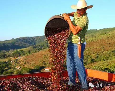 世界各地咖啡科普,科普咖啡知识