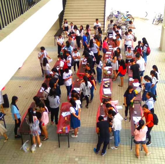 南北粽子对战视频,南北甜粽子大战