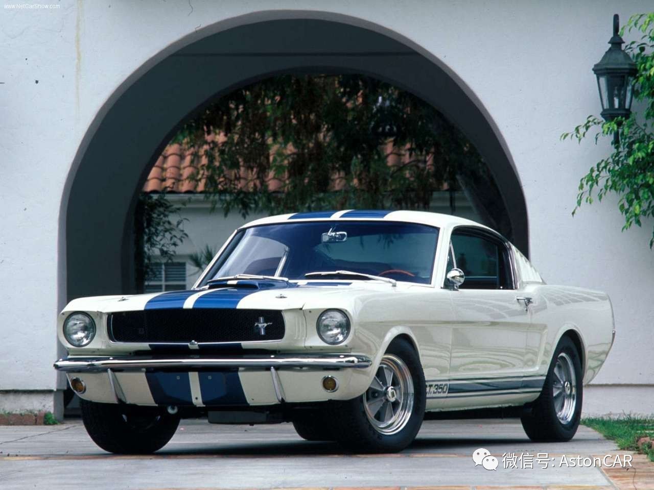 一匹狂奔的野马,一匹狂奔天涯的野马