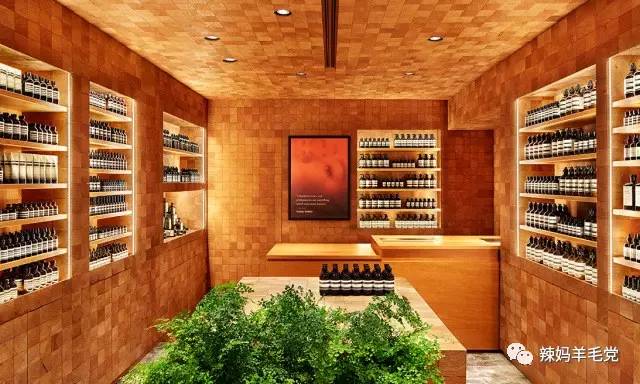 aesop伊索属于什么档次,aesop伊索产品